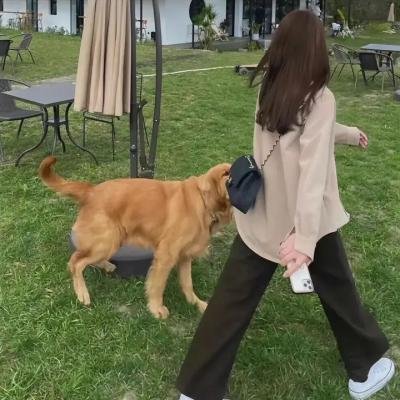 社交女王的升天之旅